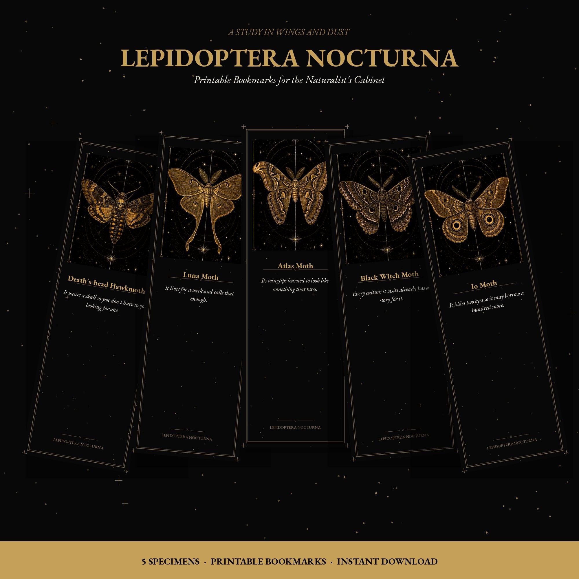 Lepidoptera Nocturna printable gothic bookmark set, gold on black, Sticky Little Curios