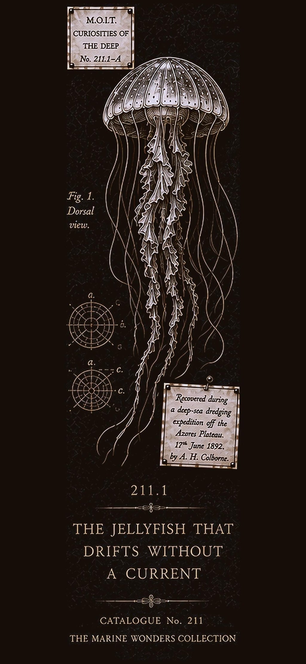 Marine Wonders Phone Wallpaper | Dark Academia Lock Screen Art | Glowing Creature, Mystical Ocean Aesthetic | Gothic Digital Download