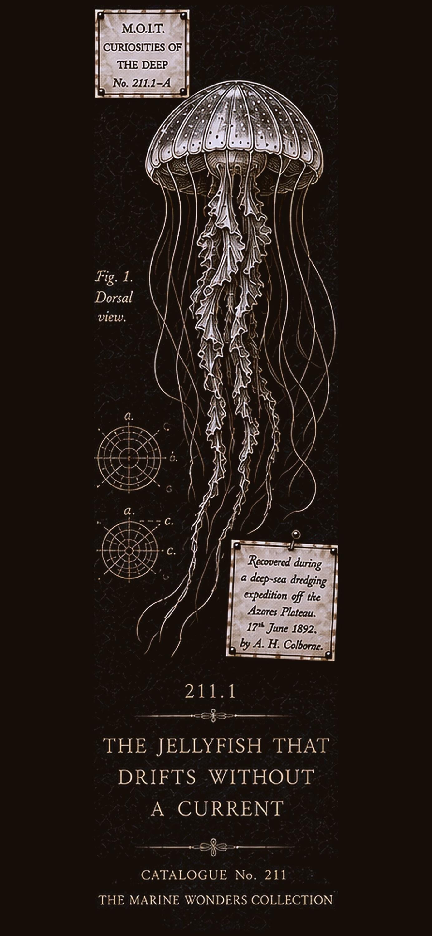 Marine Wonders Phone Wallpaper | Dark Academia Lock Screen Art | Glowing Creature, Mystical Ocean Aesthetic | Gothic Digital Download