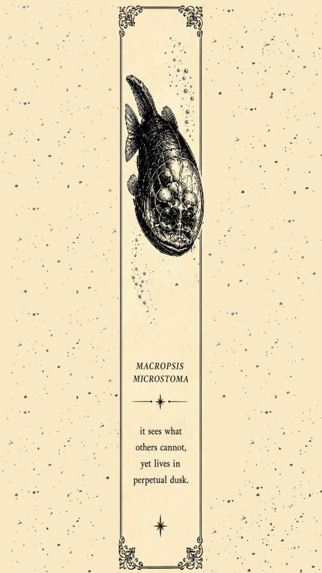 Deep Sea Cryptid Phone Wallpaper | Gothic Lock Screen, Dark Academia Digital Art, Scientific Illustration, Ocean Aesthetic Download