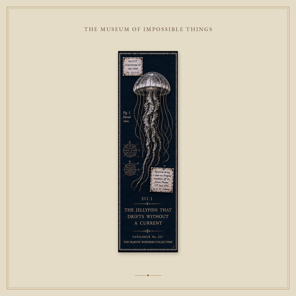 Marine Wonders Bookmark | Dark Academia Set of 5 | Standard or Magnetic | Gothic Cabinet of Curiosities