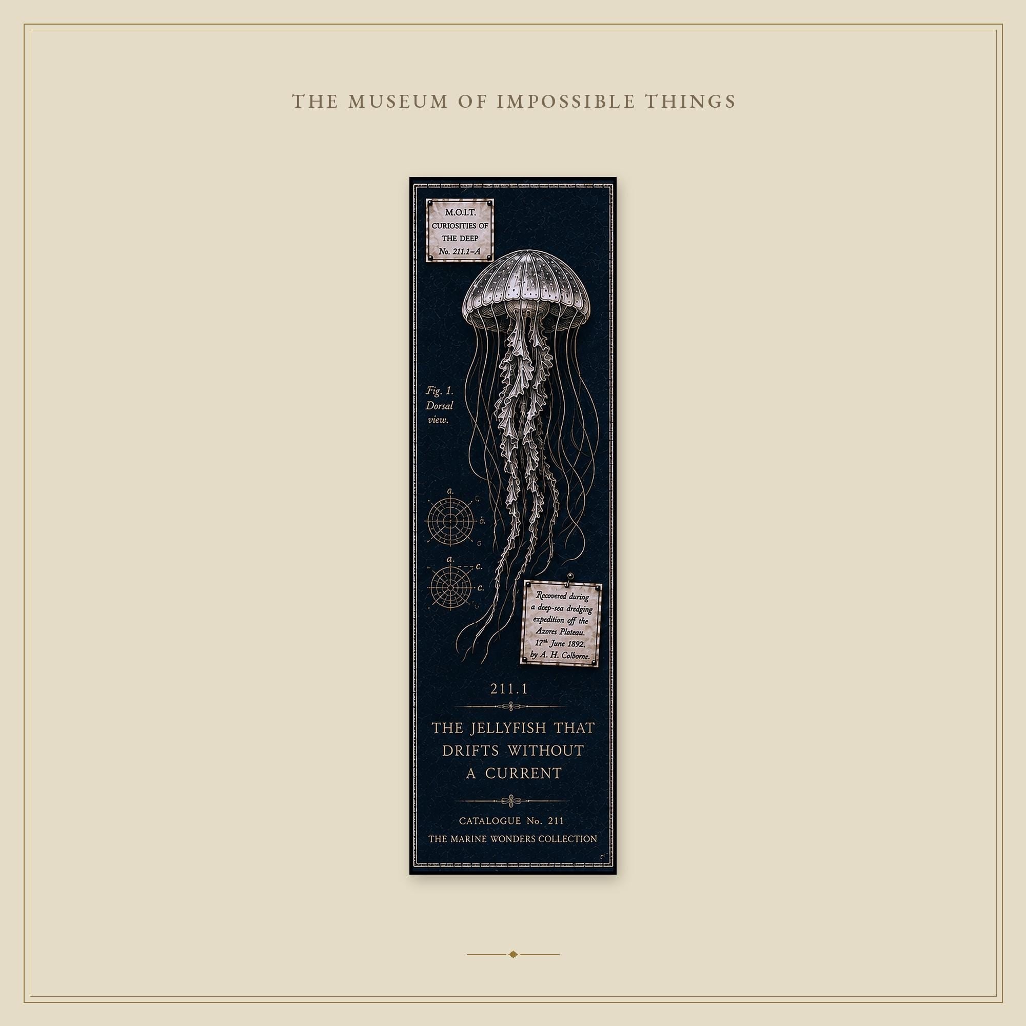 Marine Wonders Bookmark | Dark Academia Set of 5 | Standard or Magnetic | Gothic Cabinet of Curiosities