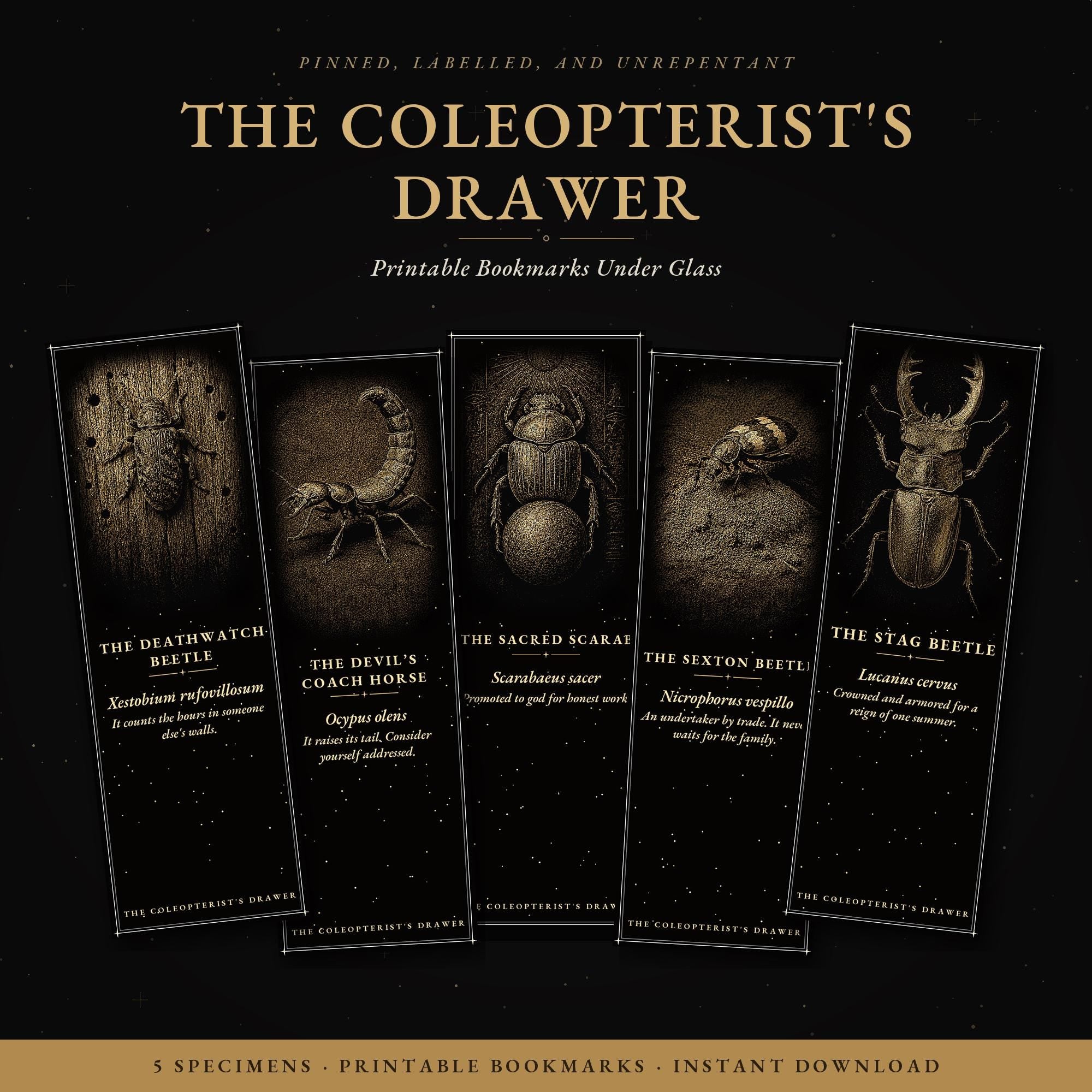 The Coleopterist's Drawer Bookmark | Dark Academia Beetle Entomology Bookmark | Standard or Magnetic Page Marker