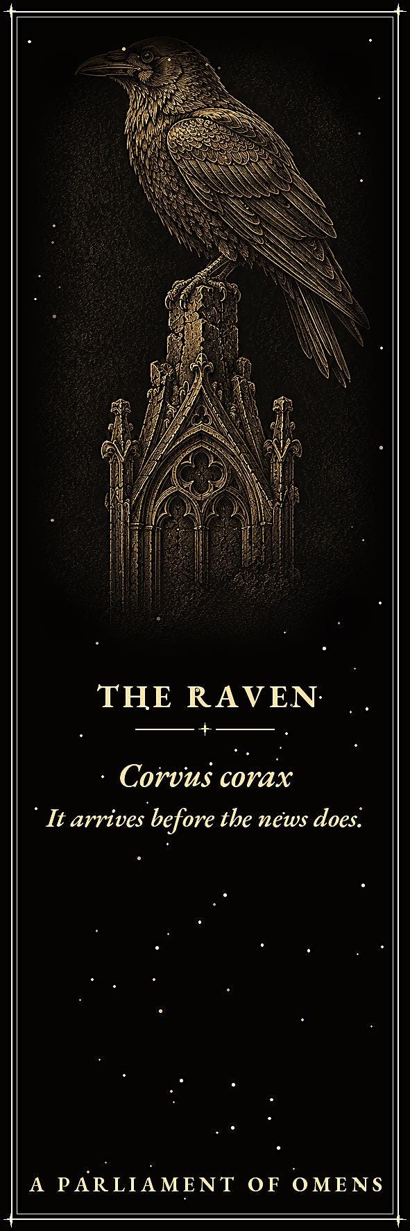 A Parliament of Omens Bookmark | Dark Academia Raven Crow Bookmark | Standard or Magnetic Page Marker