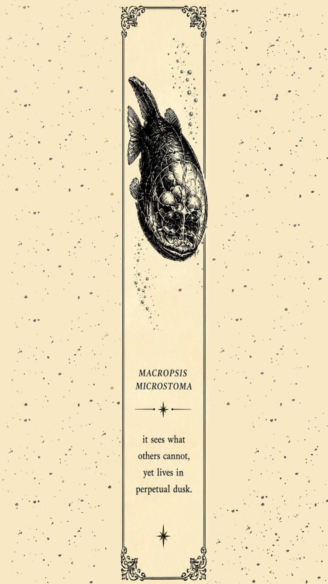 Gothic Phone Wallpaper Bundle | Deep Sea Cryptid Digital Download | Dark Academia Lock Screen | Cosmic Horror Aesthetic Set