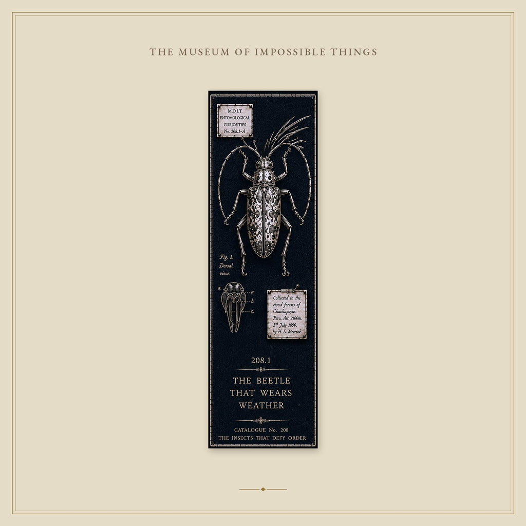 Entomological Curiosities Bookmark | Dark Academia Set of 5 | Standard or Magnetic | Gothic Cabinet of Curiosities