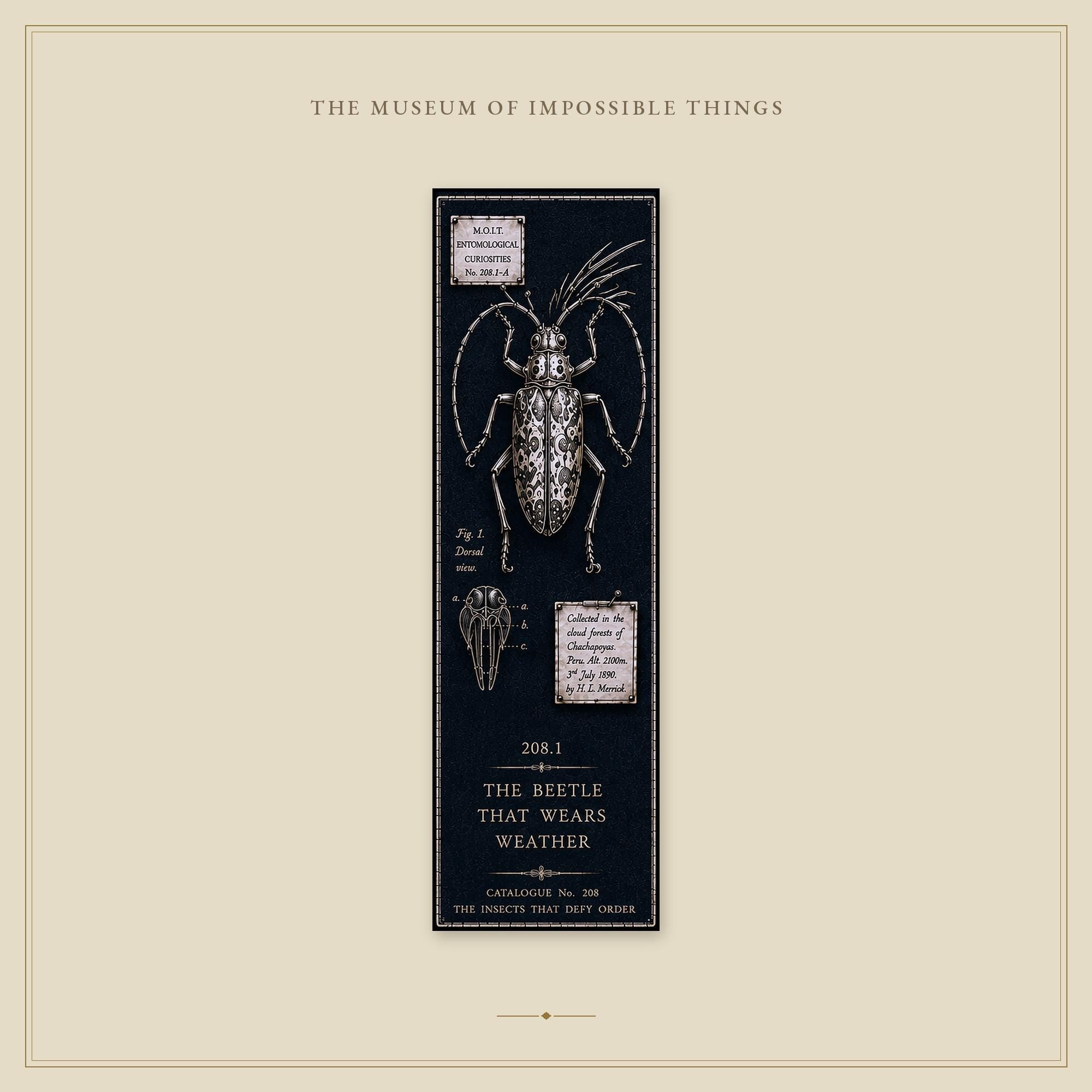 Entomological Curiosities Bookmark | Dark Academia Set of 5 | Standard or Magnetic | Gothic Cabinet of Curiosities
