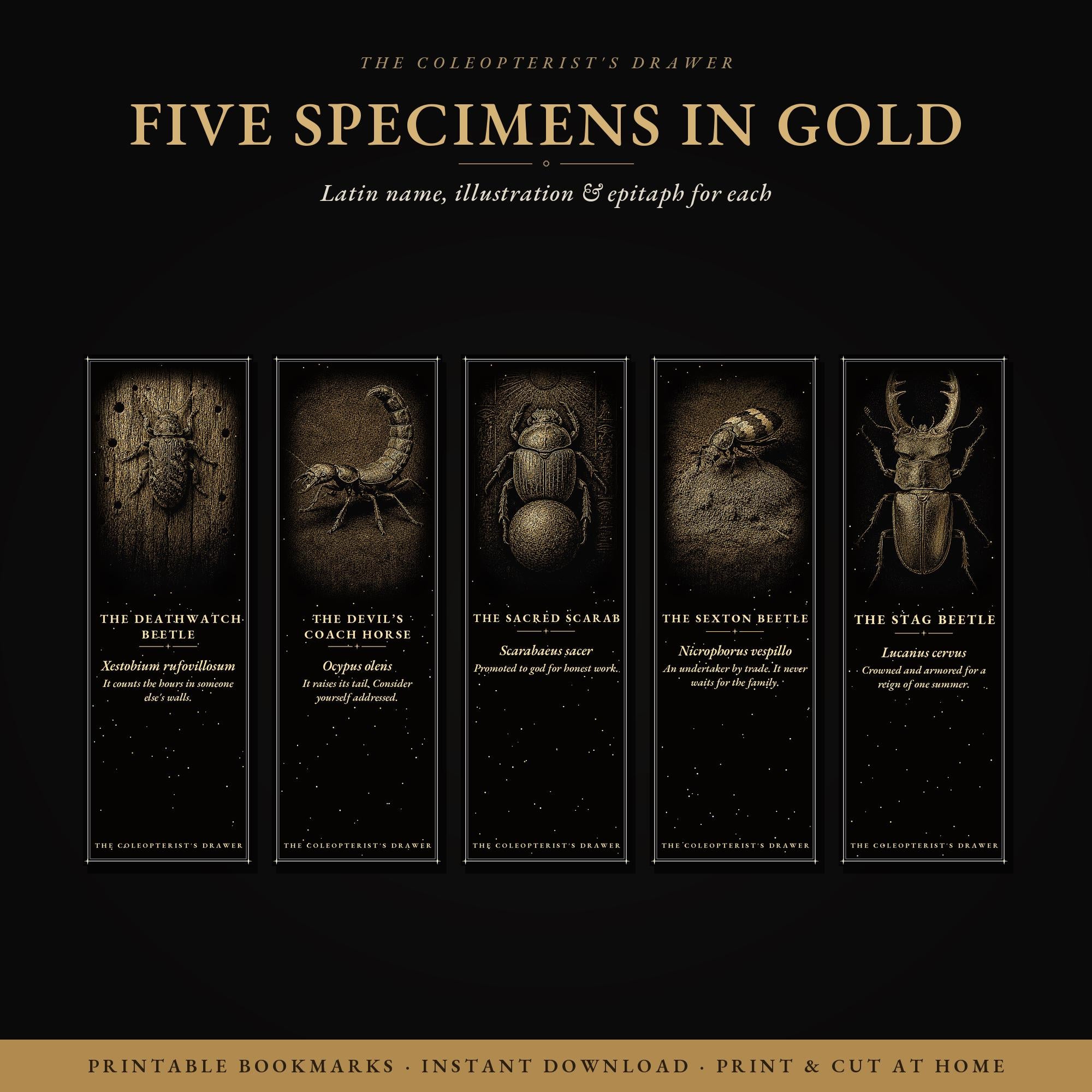 The Coleopterist's Drawer: Dark Academia Beetle Bookmarks | Gothic Printable | Digital Download, Occult Stationery