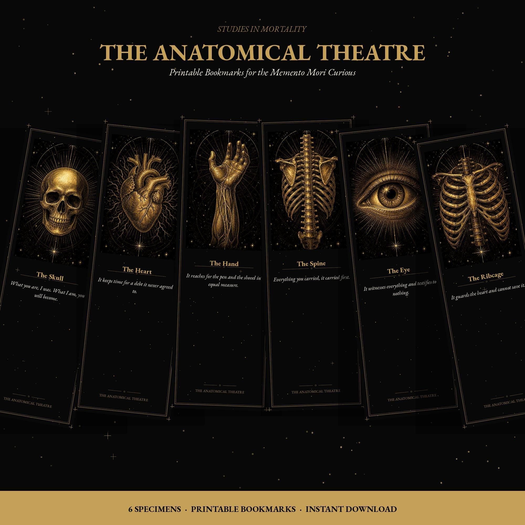 Anatomical Theatre Bookmark, Memento Mori Art | Dark Academia | Gold On Black | Page Marker | Vanitas Gift