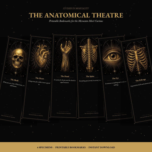 Anatomical Theatre Bookmark, Memento Mori Art | Dark Academia | Gold On Black | Page Marker | Vanitas Gift
