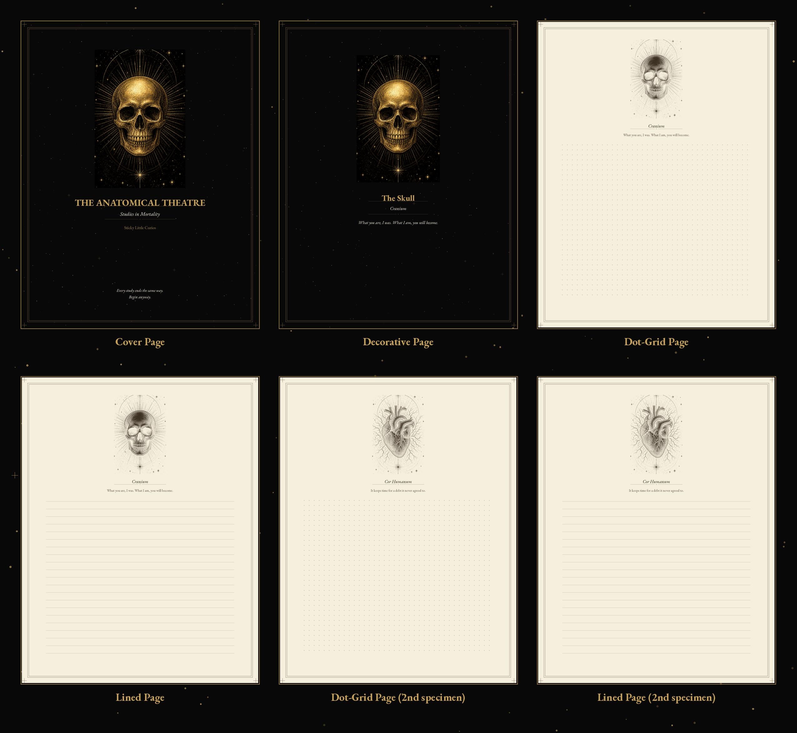 Anatomical Theatre Journal Pages | Dark Academia Memento Mori Notebook (Digital Download)