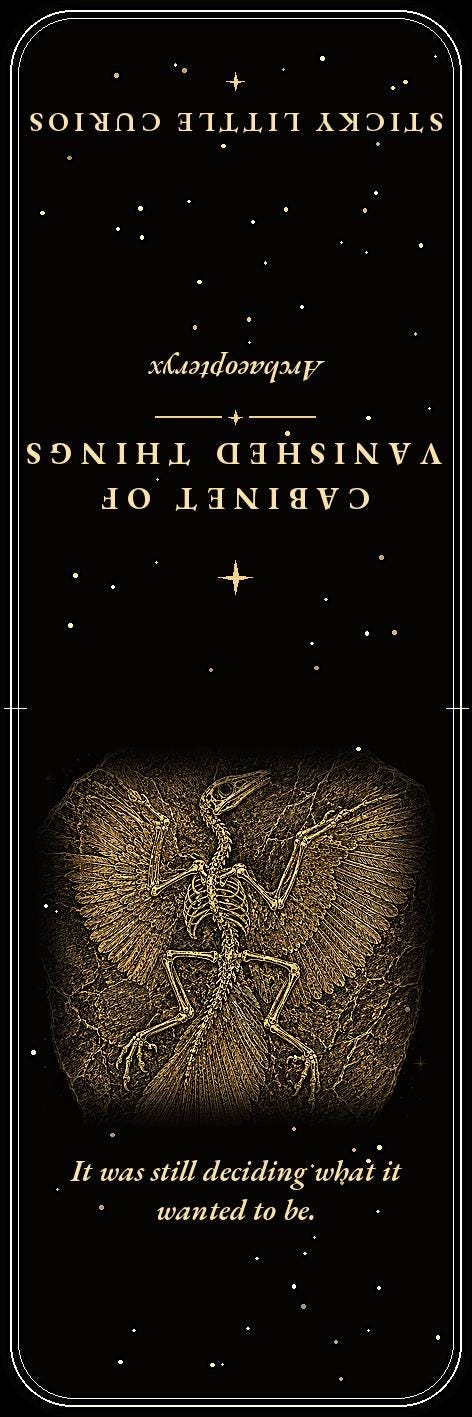 Cabinet of Vanished Things Bookmark | Dark Academia Fossil Bookmark | Standard or Magnetic Page Marker