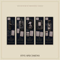 The Room Seven Collection Bookmark | Dark Academia Set of 5 | Standard or Magnetic | Gothic Cabinet of Curiosities
