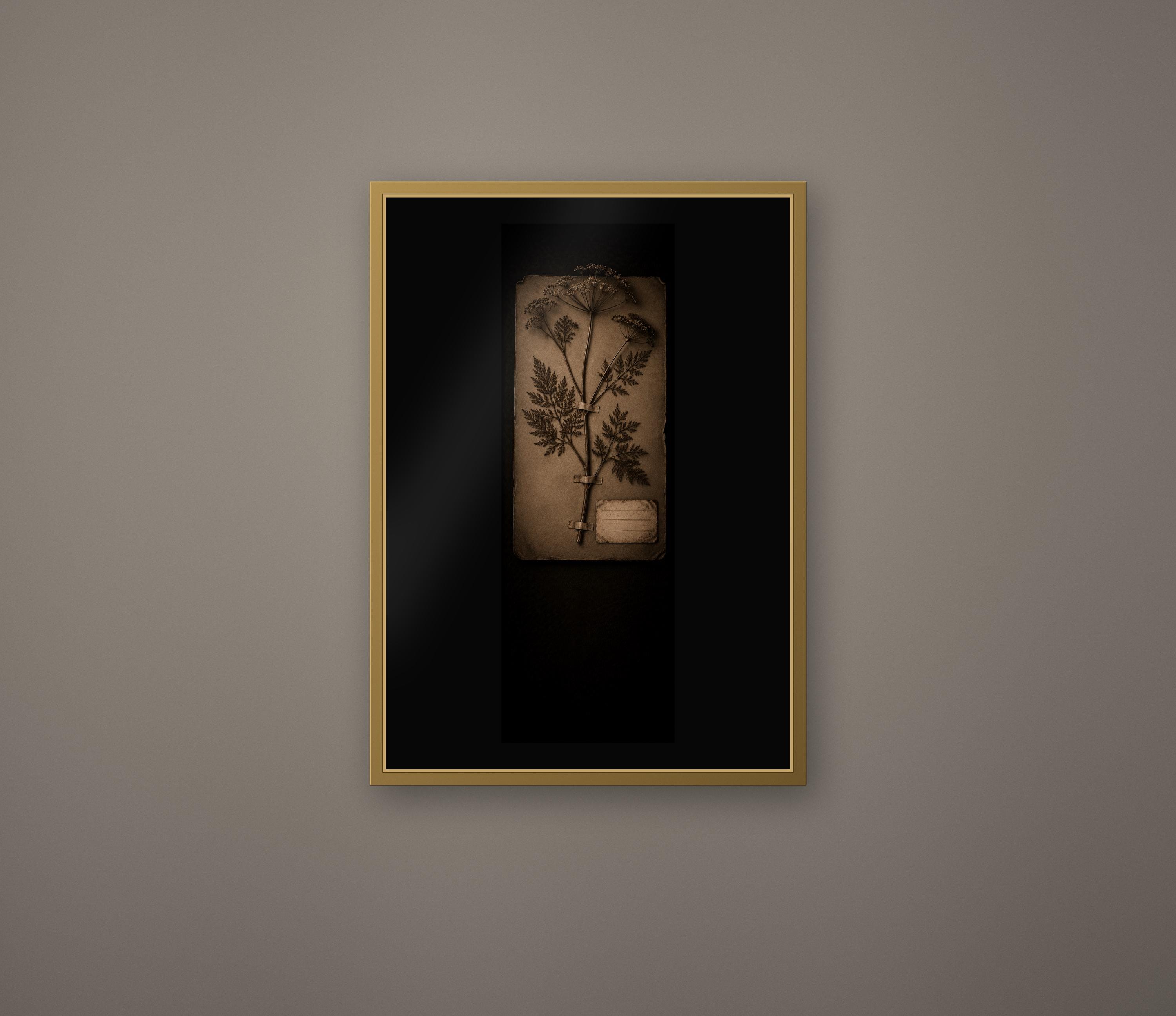 Black Herbarium Prints, Poisoner's Cabinet | Dark Academia Gothic Art | Antique Botanical | Digital Download