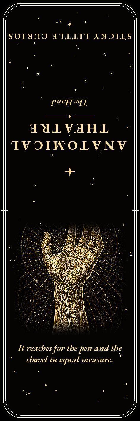 Anatomical Theatre Bookmark, Memento Mori Art | Dark Academia | Gold On Black | Page Marker | Vanitas Gift