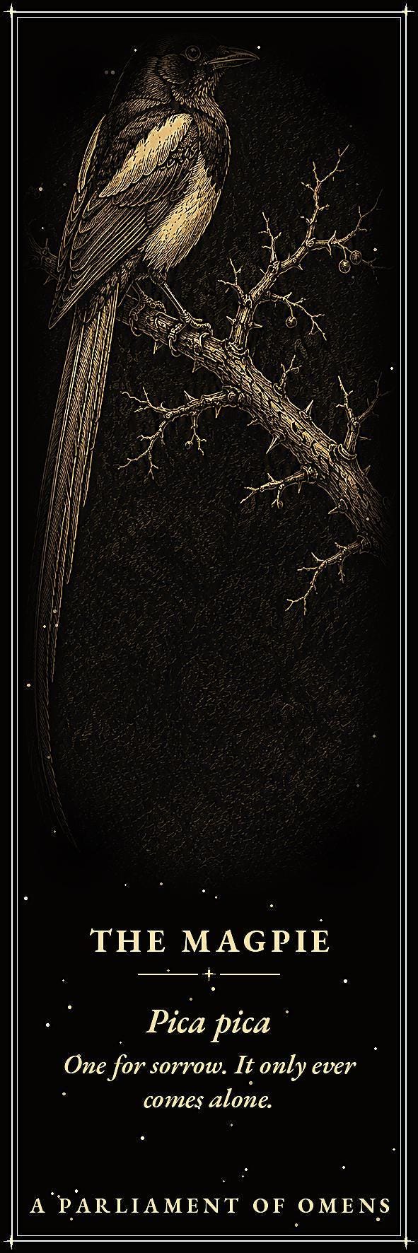 A Parliament of Omens Bookmark, Dark Academia Raven | Gold Detail | Magnetic Page Marker, Witchy Book Lover