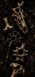 The Bone Garden Phone Wallpaper, Dark Goblincore Lock Screen | Moss And Bones Digital Art | iPhone And Android Set