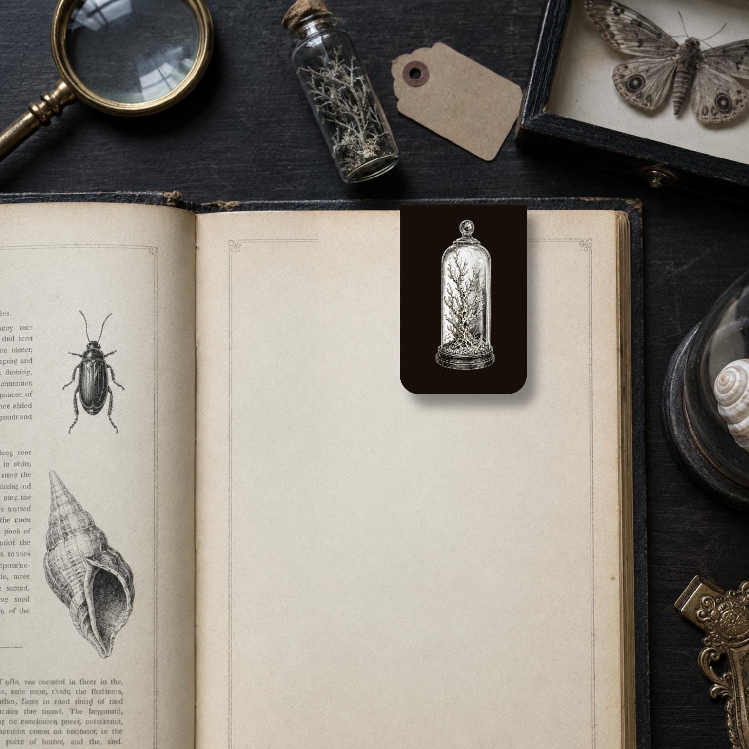 Relics of Impossible Seas Bookmark | Dark Academia Set of 5 | Standard or Magnetic | Gothic Cabinet of Curiosities