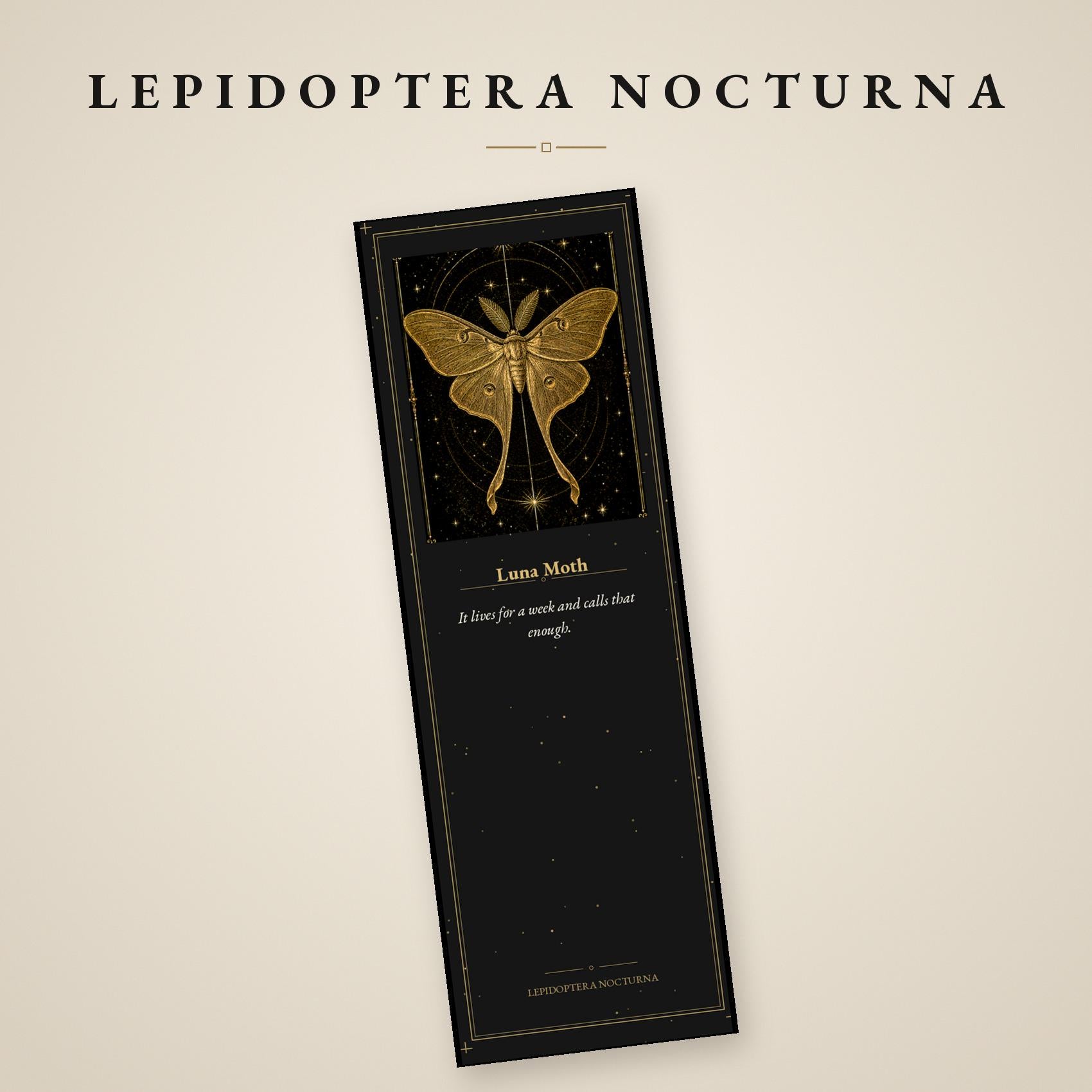 Lepidoptera Nocturna, Victorian Specimen Cabinet | Dark Academia Moth Bookmark | Gold Linework Printable | Five Species Illustrated