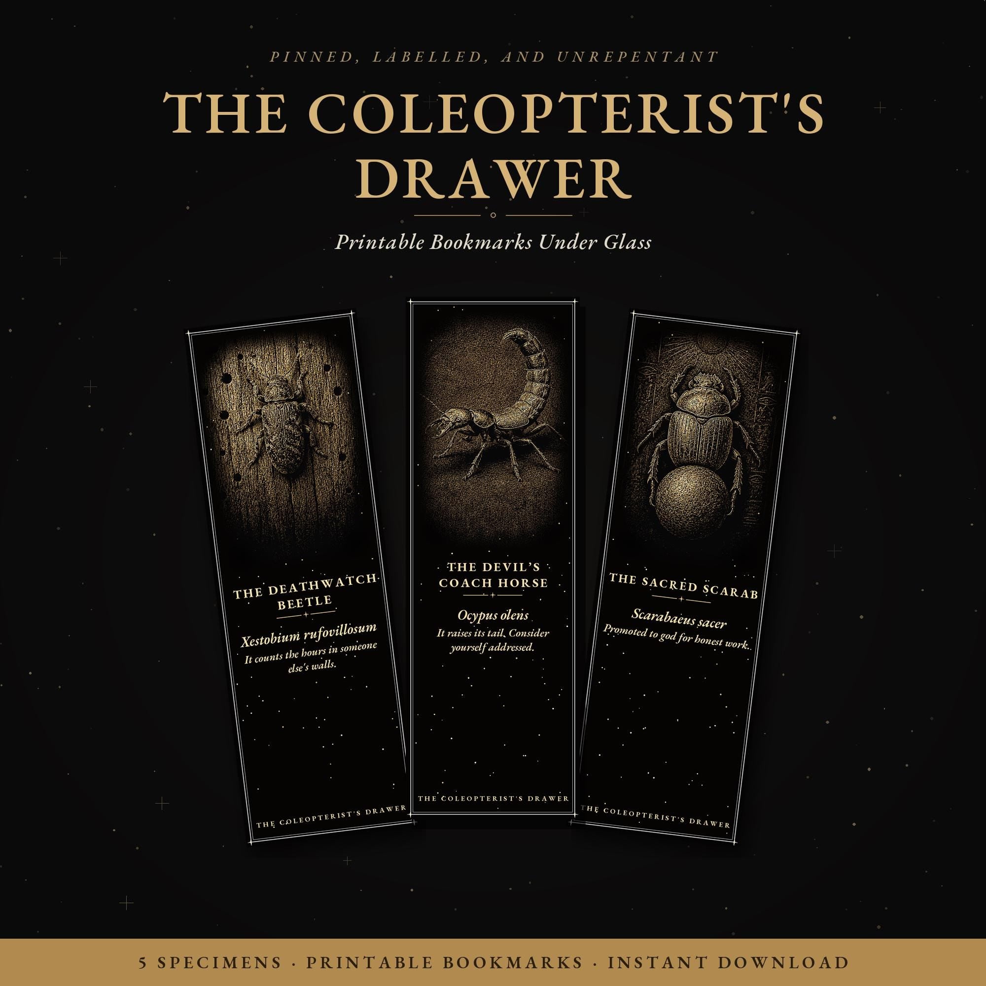 The Coleopterist's Drawer Bookmark | Dark Academia Beetle Entomology Bookmark | Standard or Magnetic Page Marker