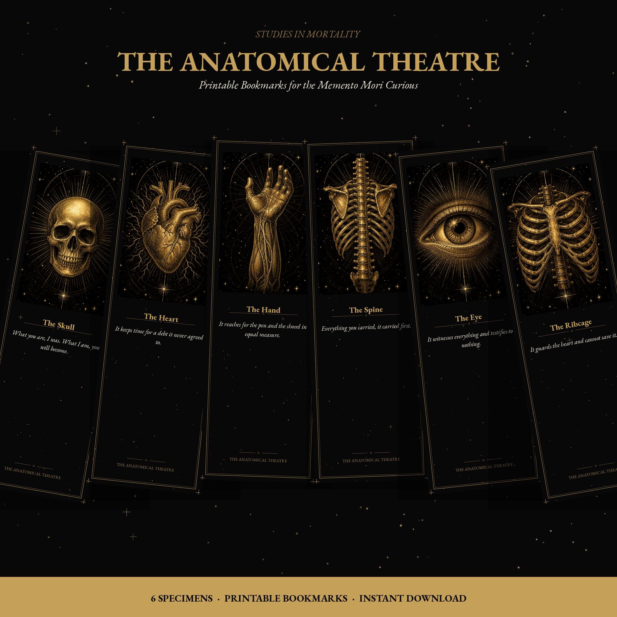 The Anatomical Theatre Printable Bookmarks | Dark Academia Vanitas Bookmark Set | Memento Mori Gothic Digital Download