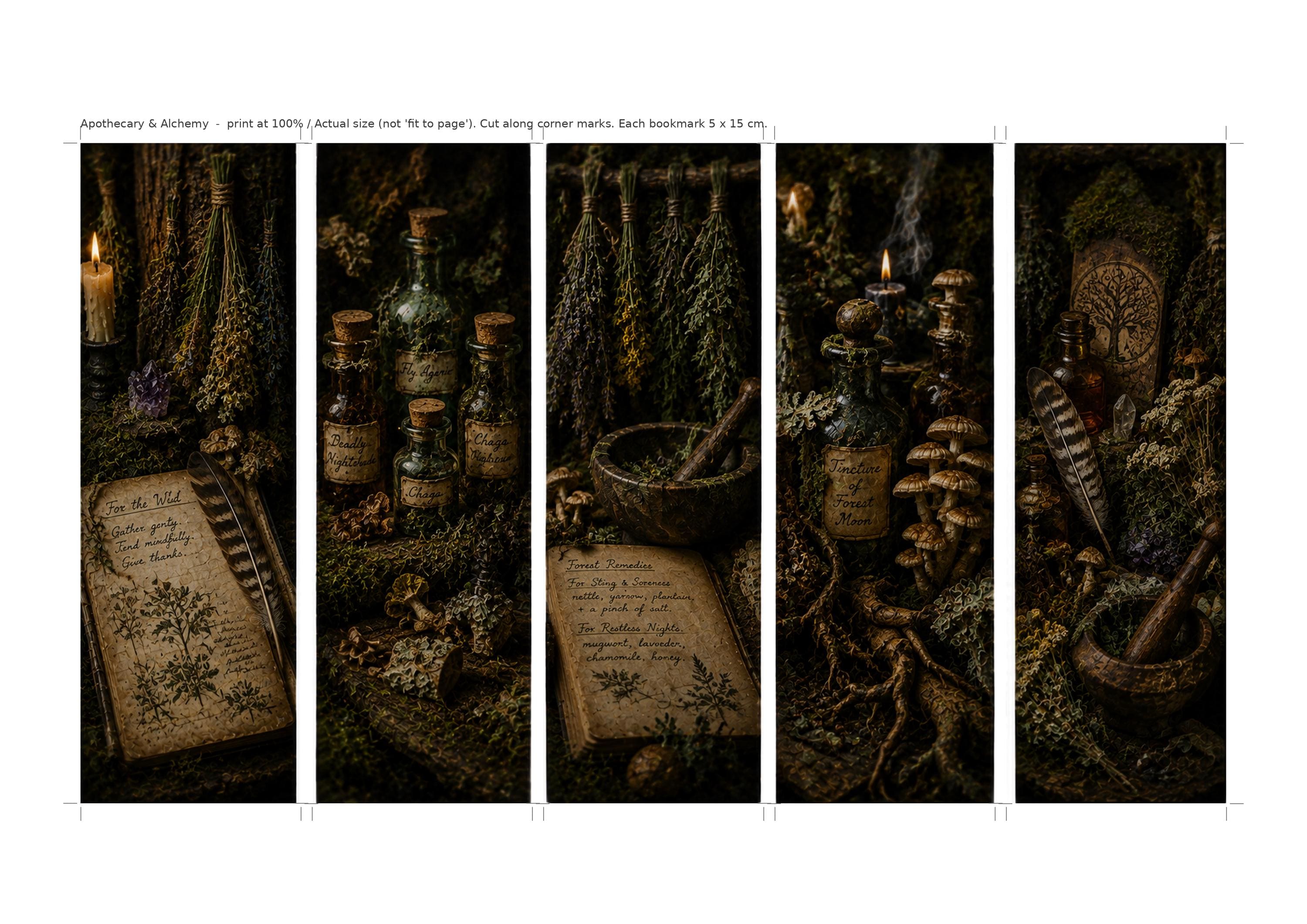 Goblincore Bookmarks Printable Set | Apothecary, Alchemy, Woodland Botanical (Digital Download)