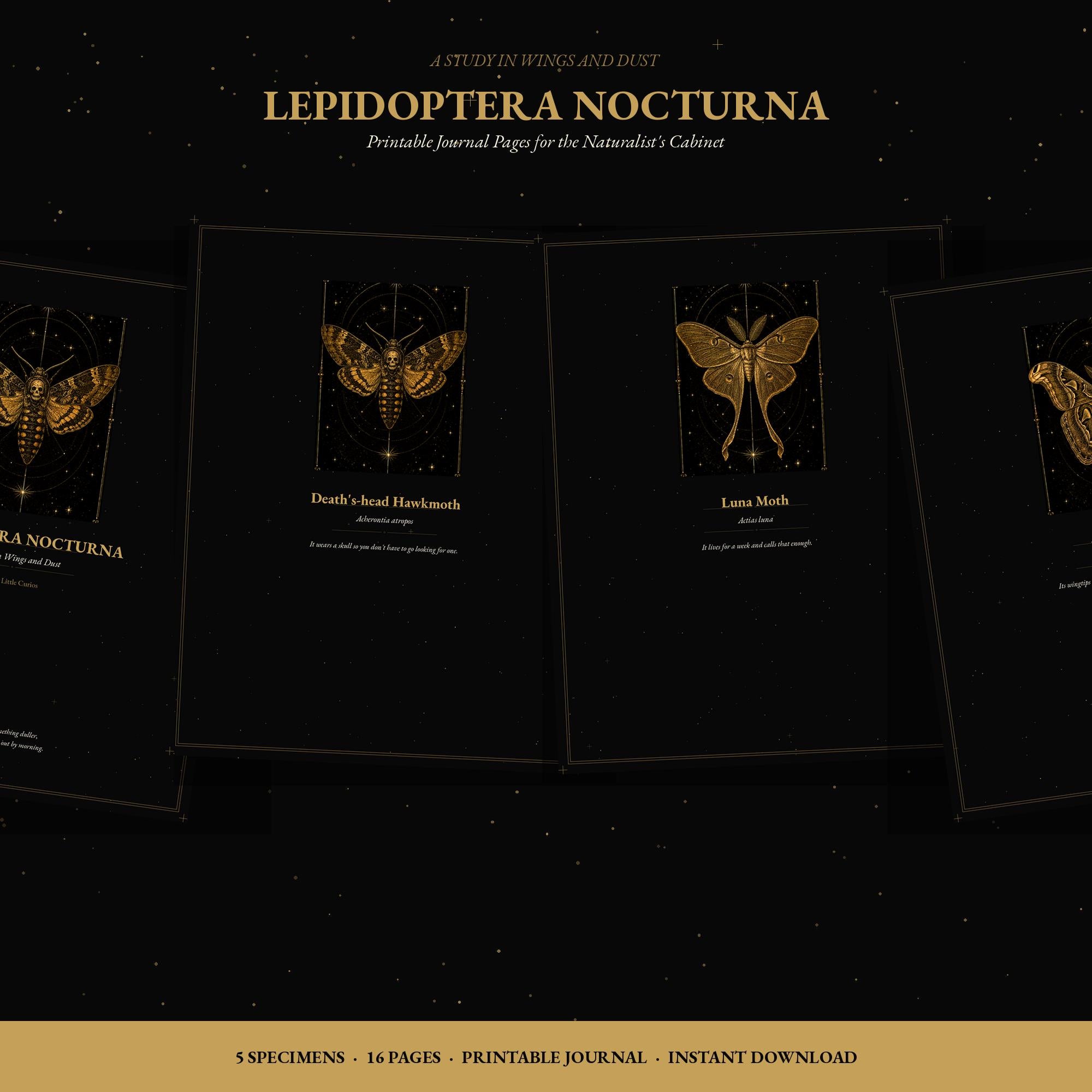 Lepidoptera Nocturna Journal Pages, Engraved Moth Specimen Study | Naturalist Cabinet Printable | Sepia Dot Grid | Digital Download