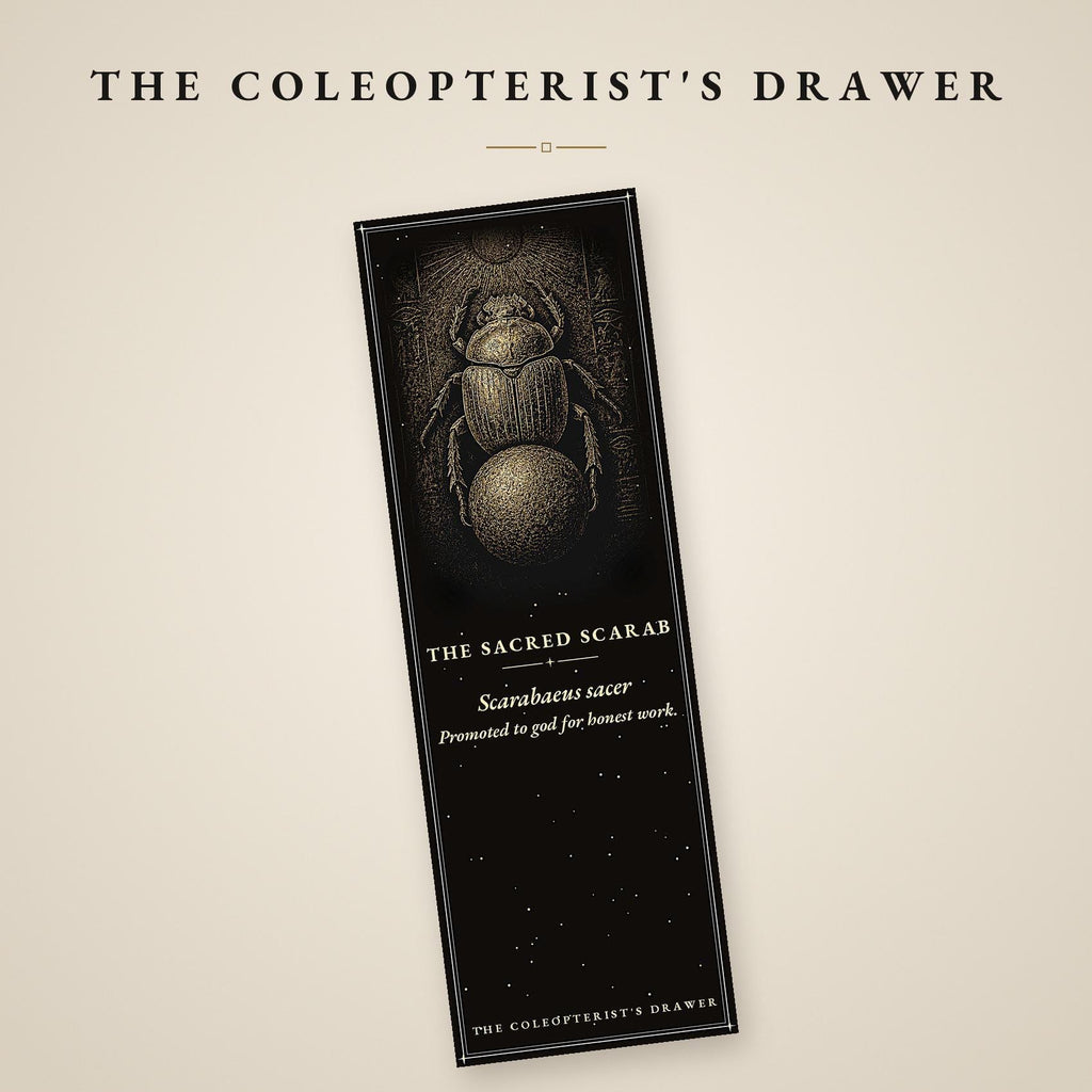 The Coleopterist's Drawer Bookmark | Gold On Black | Dark Academia Entomology | Magnetic Page Marker | Hand-Finished