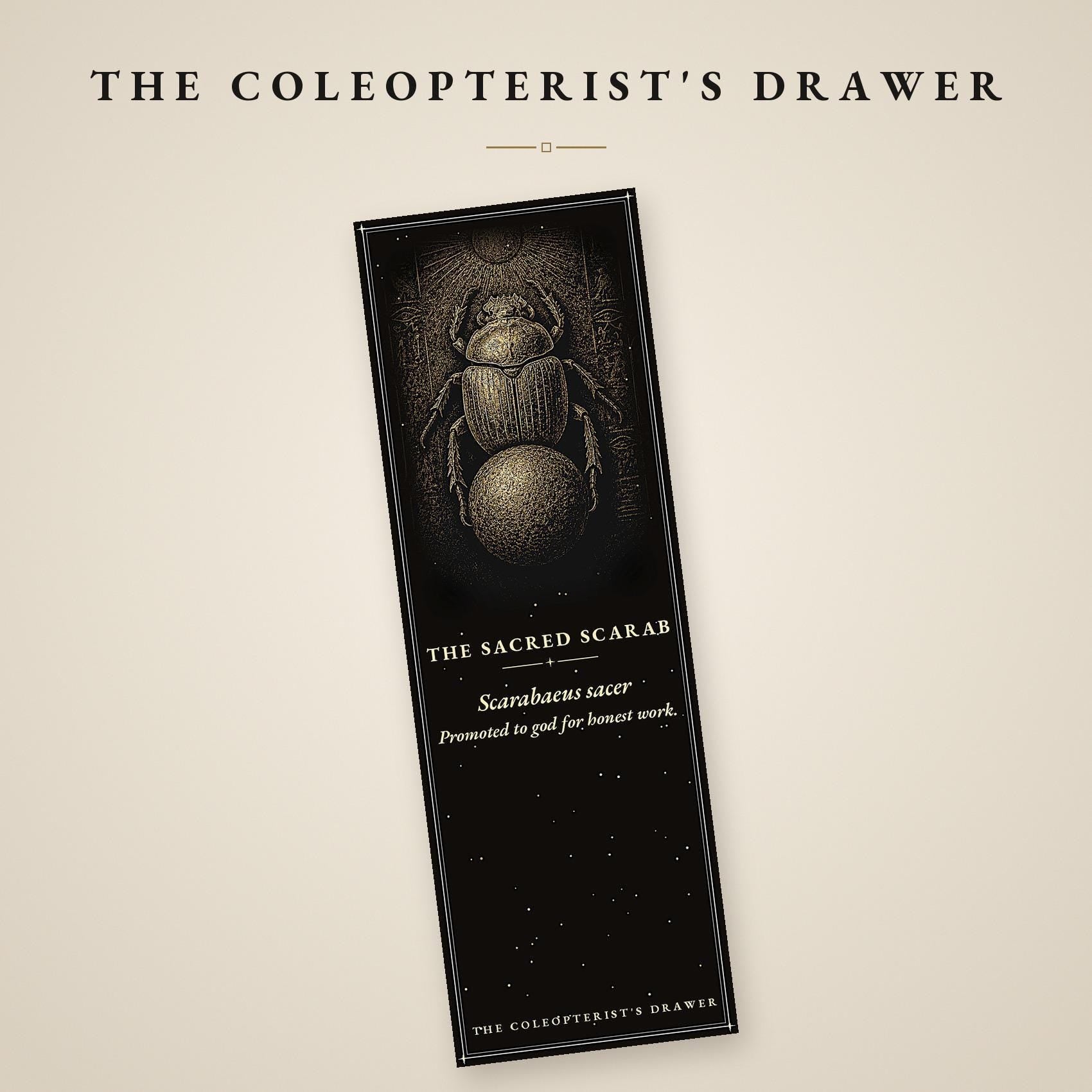 The Coleopterist's Drawer Bookmark | Gold On Black | Dark Academia Entomology | Magnetic Page Marker | Hand-Finished