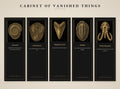 Cabinet of Vanished Things Bookmark, Dark Academia Fossil Art | Paleontology Page Marker | Magnetic or Standard
