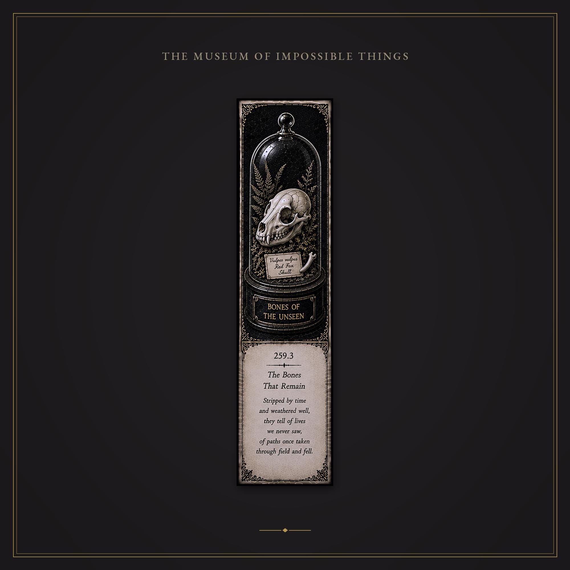 Wonders of the Wild Bookmark | Dark Academia Set of 5 | Standard or Magnetic | Gothic Cabinet of Curiosities
