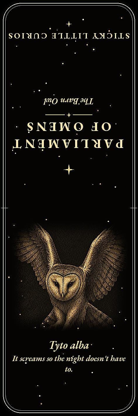A Parliament of Omens Bookmark, Dark Academia Raven | Gold Detail | Magnetic Page Marker, Witchy Book Lover