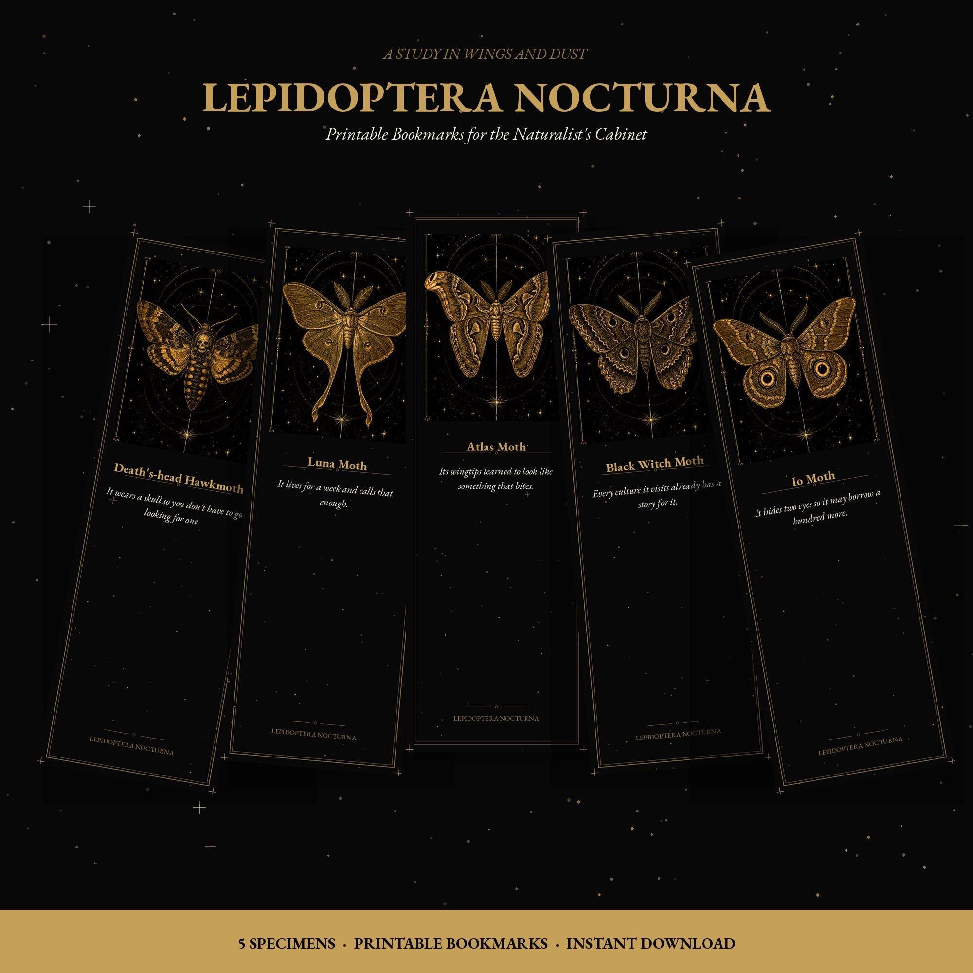 Lepidoptera Nocturna Bookmark, Victorian Moth Specimens | Gold Linework | Dark Academia Page Marker | Magnetic Option