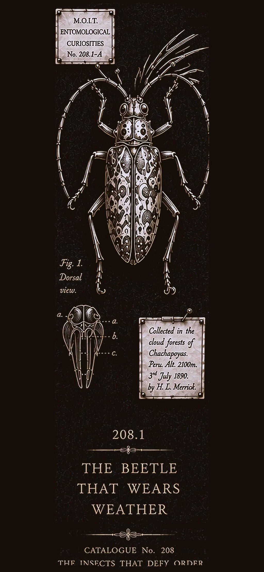 Entomological Curiosities Phone Wallpaper | Dark Academia Lock Screen Bundle | Five Specimen Designs | Digital Download | Moody Gold Insects