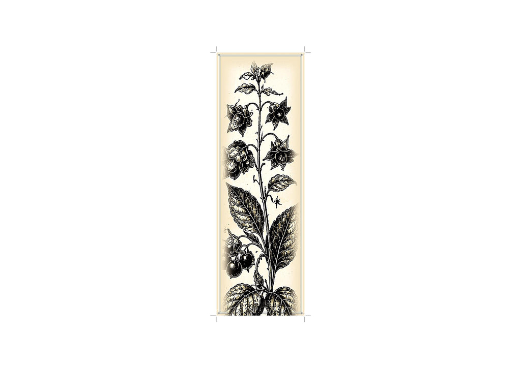 The Poison Garden Bookmarks Printable | Botanical Dark Academia Bookmarks | Gothic Plant Illustration | Digital Download Print & Cut
