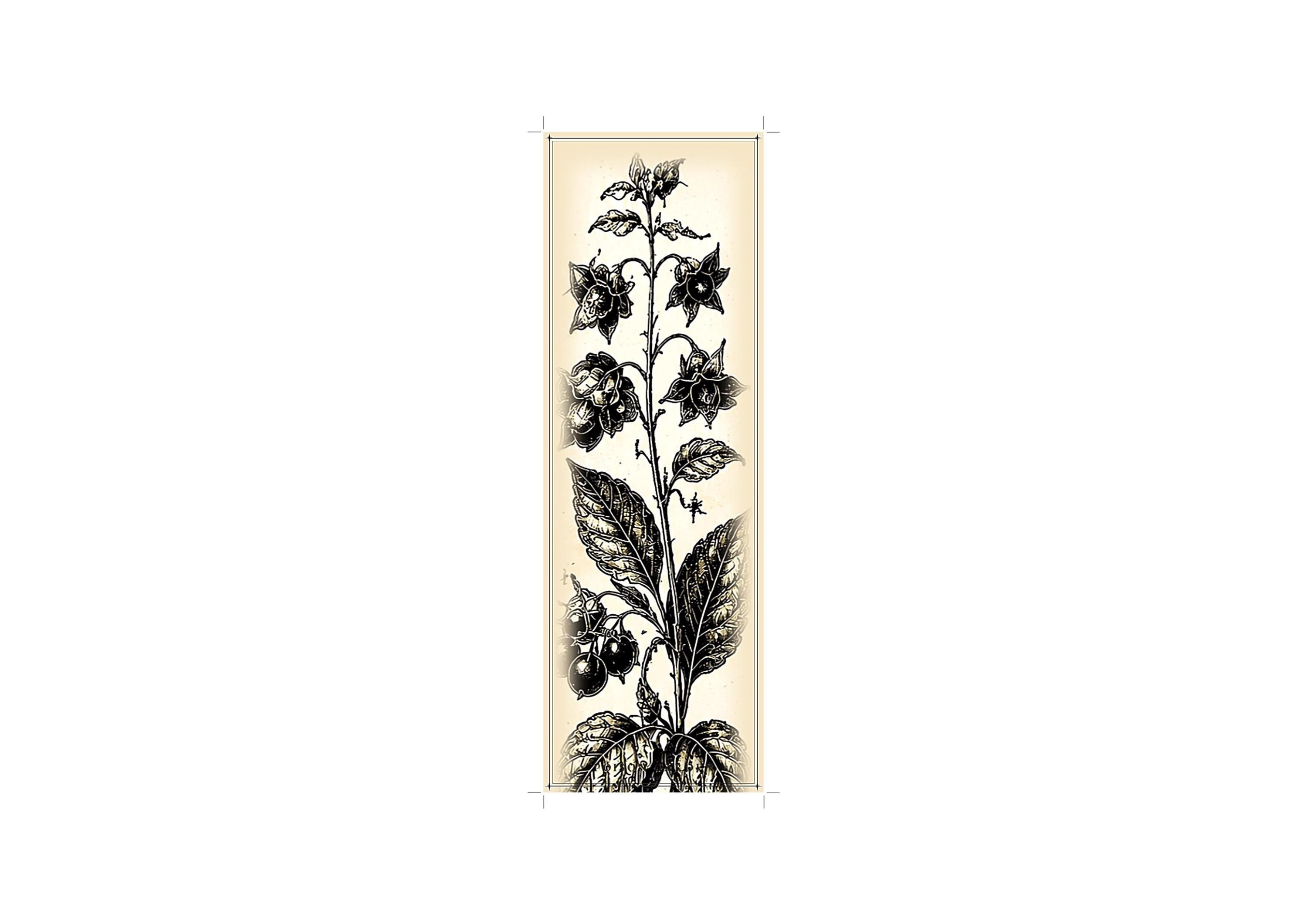 The Poison Garden Bookmarks Printable | Botanical Dark Academia Bookmarks | Gothic Plant Illustration | Digital Download Print & Cut