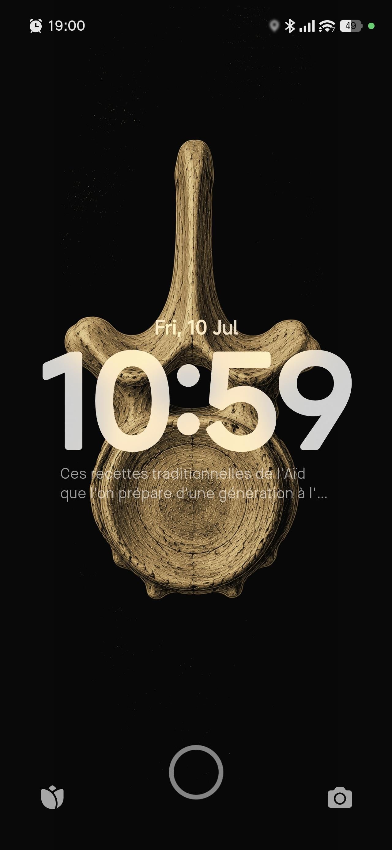 Dark Academia Phone Wallpaper Bundle | Victorian Whaling Lock Screen (Digital Download)