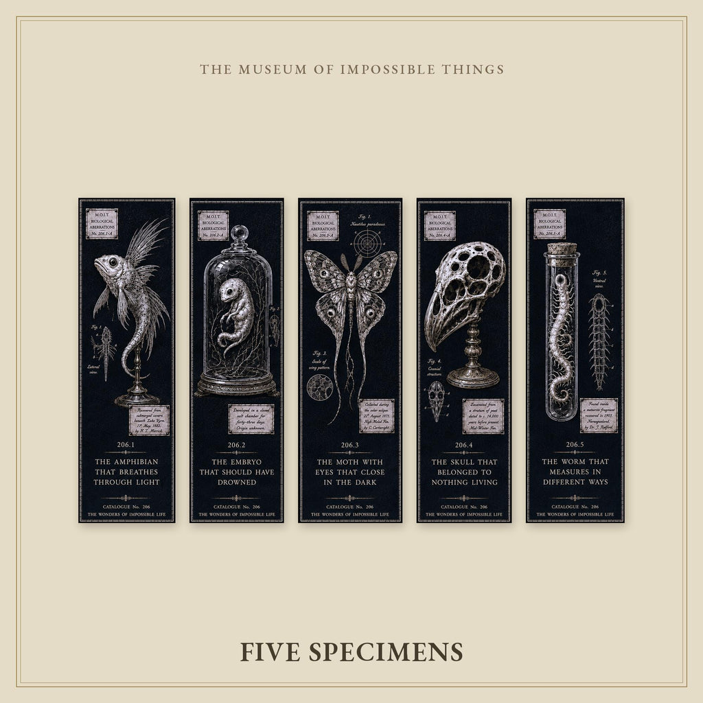 Wonders of Impossible Life Bookmark | Dark Academia Set of 5 | Standard or Magnetic | Gothic Cabinet of Curiosities