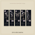 Wonders of Impossible Life Bookmark | Dark Academia Set of 5 | Standard or Magnetic | Gothic Cabinet of Curiosities
