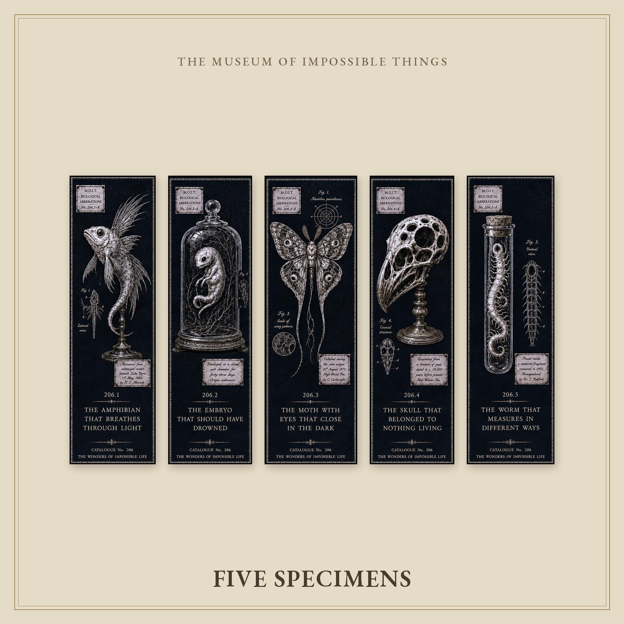 Wonders of Impossible Life Bookmark | Dark Academia Set of 5 | Standard or Magnetic | Gothic Cabinet of Curiosities
