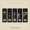The Forbidden Wing Bookmark | Dark Academia Set of 5 | Standard or Magnetic | Gothic Cabinet of Curiosities