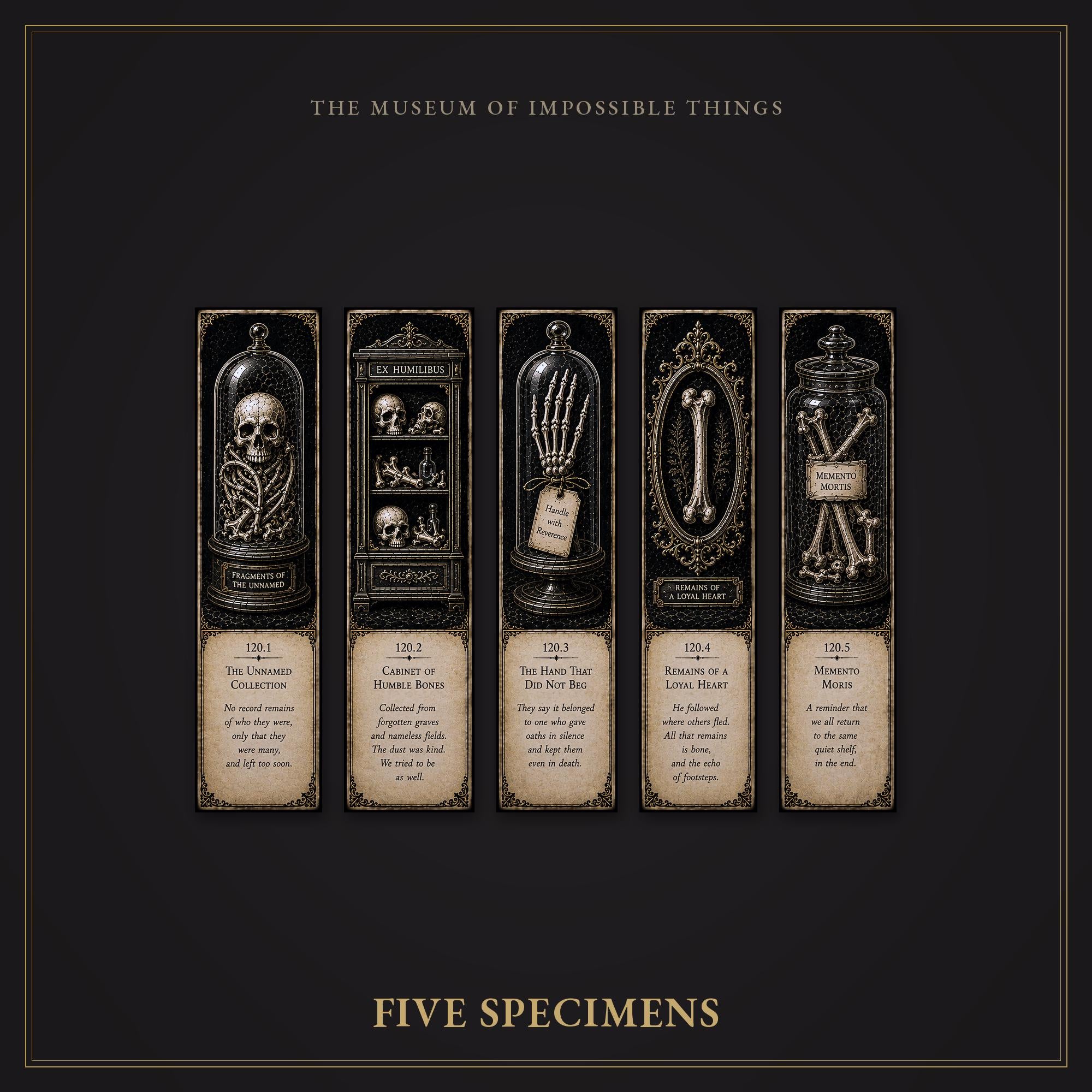 The Bone Custodian Bookmark | Dark Academia Set of 5 | Standard or Magnetic | Gothic Cabinet of Curiosities