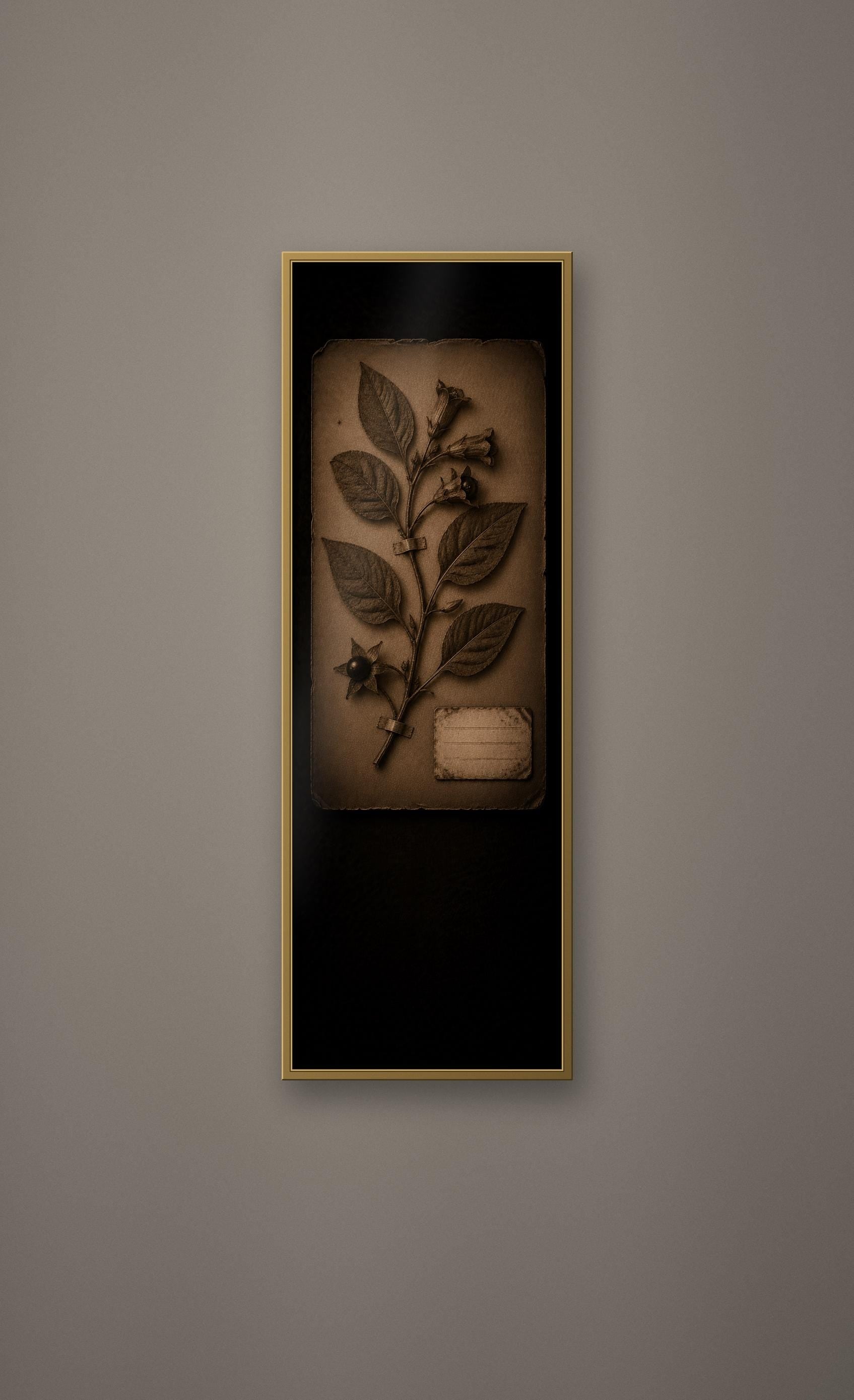 Black Herbarium Prints, Poisoner's Cabinet | Dark Academia Gothic Art | Antique Botanical | Digital Download