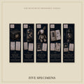 The Curator's Locked Cabinet Bookmark | Dark Academia Set of 5 | Standard or Magnetic | Gothic Cabinet of Curiosities