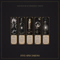 Lights That Refuse to Die Bookmark | Dark Academia Set of 5 | Standard or Magnetic | Gothic Cabinet of Curiosities