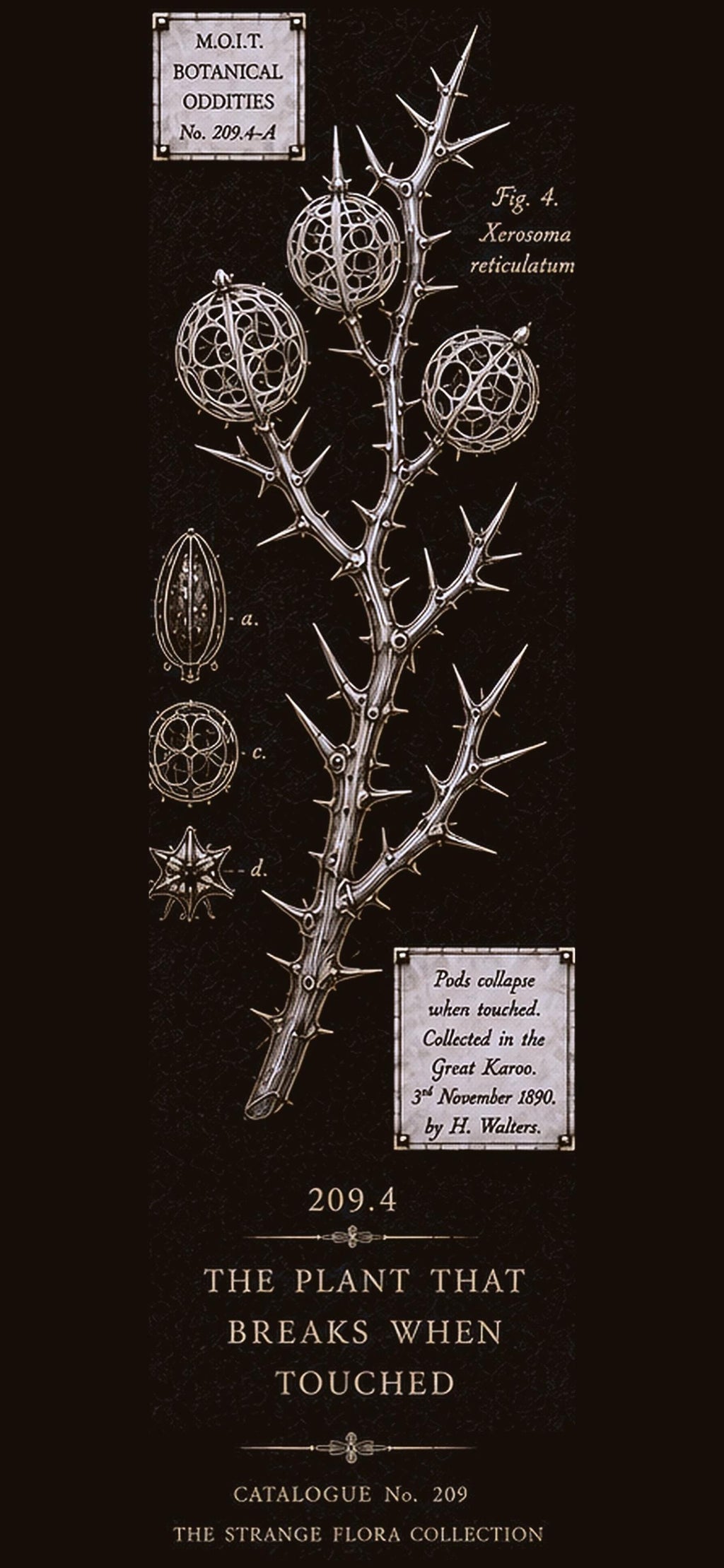 Strange Flora Phone Wallpaper Bundle | Dark Academia Lock Screen, Botanical Digital Art | iPhone & Android