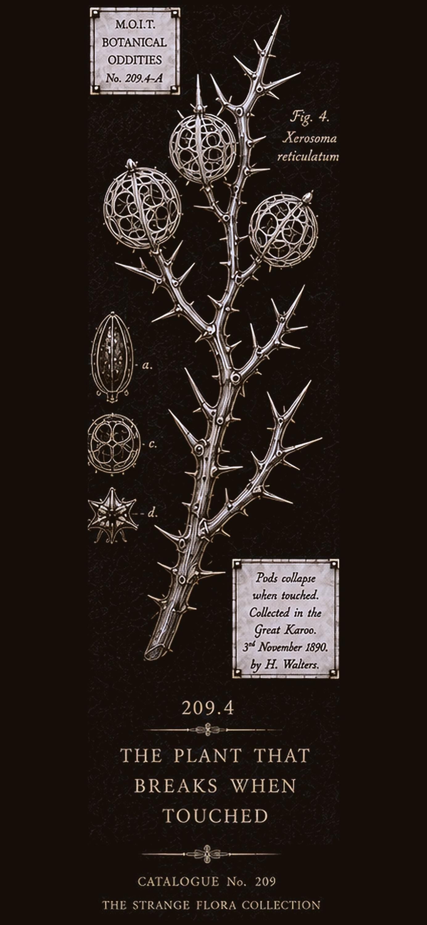 Strange Flora Phone Wallpaper Bundle | Dark Academia Lock Screen, Botanical Digital Art | iPhone & Android