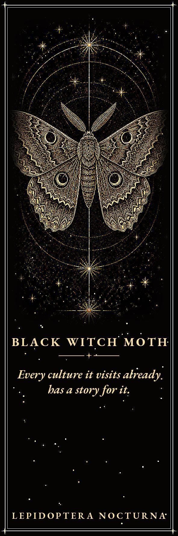 Lepidoptera Nocturna Bookmark, Victorian Moth Specimens | Gold Linework | Dark Academia Page Marker | Magnetic Option