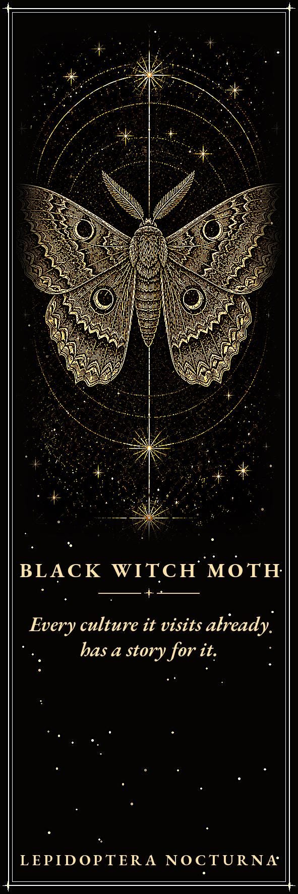 Lepidoptera Nocturna Printable Bookmarks | Dark Academia Moth Bookmark Set | Victorian Naturalist Specimen Digital Download