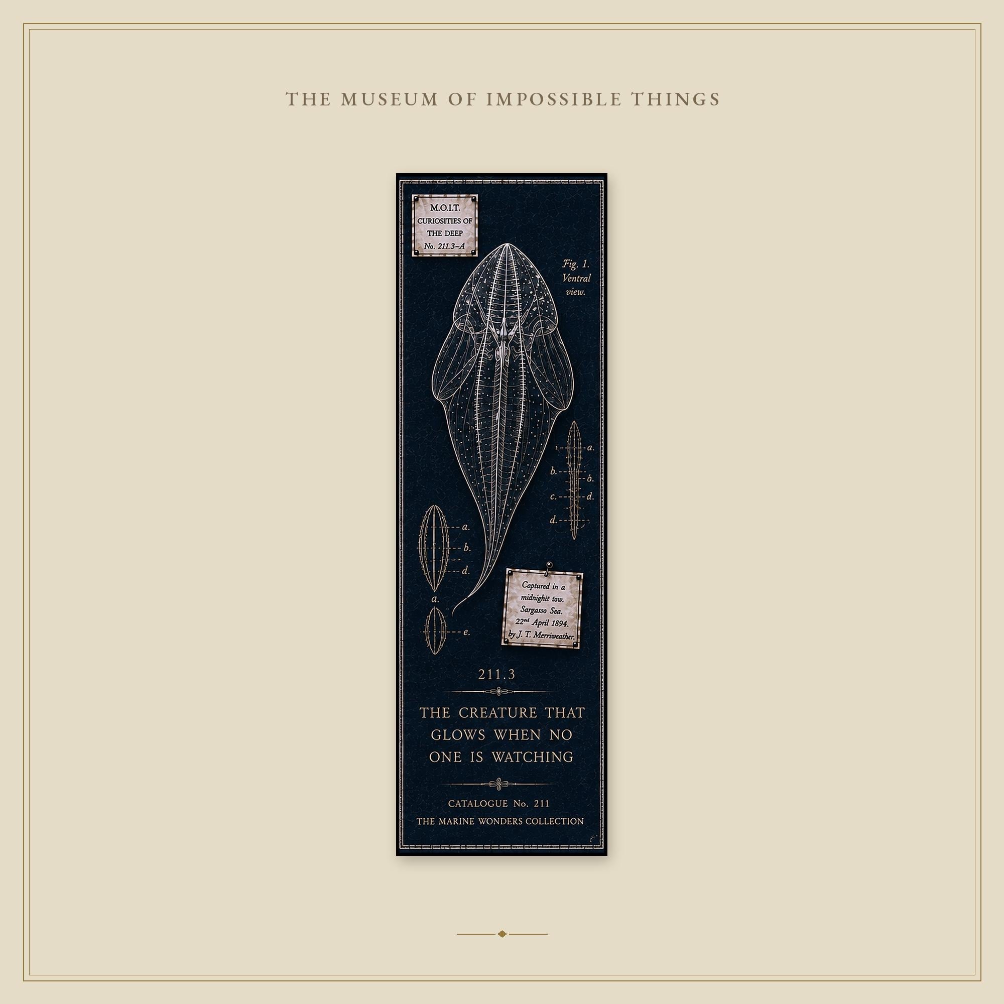 Marine Wonders Bookmark | Dark Academia Set of 5 | Standard or Magnetic | Gothic Cabinet of Curiosities